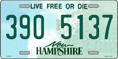 NH license plate 3905137