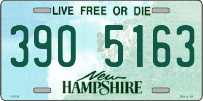 NH license plate 3905163