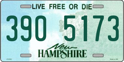 NH license plate 3905173