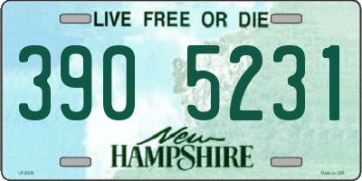 NH license plate 3905231