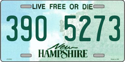 NH license plate 3905273