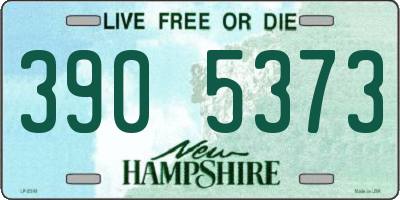 NH license plate 3905373