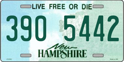 NH license plate 3905442