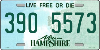 NH license plate 3905573