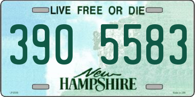 NH license plate 3905583