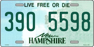NH license plate 3905598