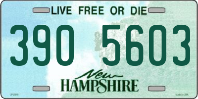 NH license plate 3905603