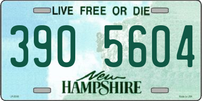 NH license plate 3905604
