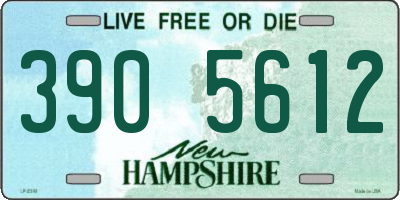 NH license plate 3905612