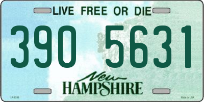 NH license plate 3905631