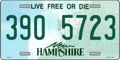 NH license plate 3905723