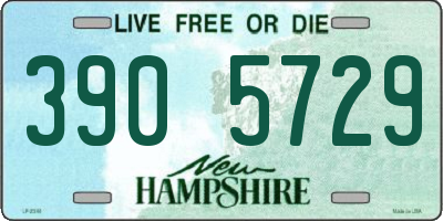 NH license plate 3905729