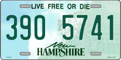 NH license plate 3905741