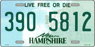 NH license plate 3905812