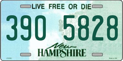 NH license plate 3905828