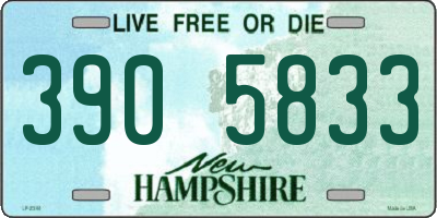 NH license plate 3905833