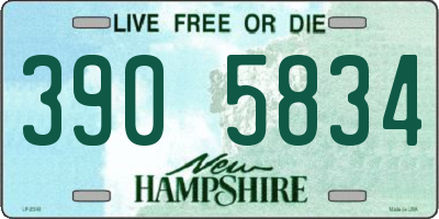 NH license plate 3905834