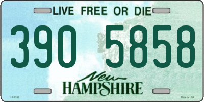 NH license plate 3905858