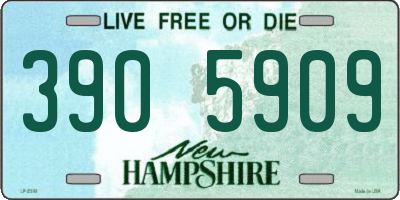NH license plate 3905909