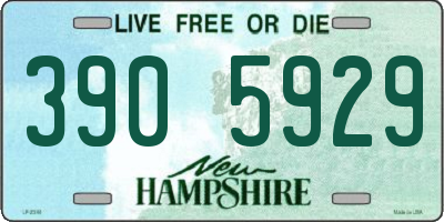 NH license plate 3905929