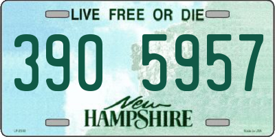 NH license plate 3905957
