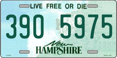 NH license plate 3905975