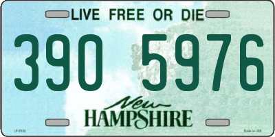 NH license plate 3905976
