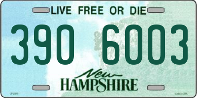 NH license plate 3906003