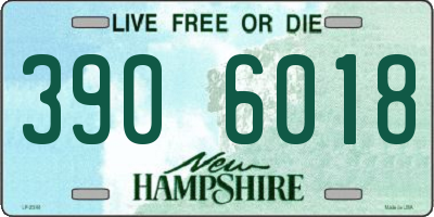 NH license plate 3906018