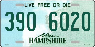 NH license plate 3906020