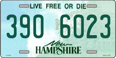 NH license plate 3906023