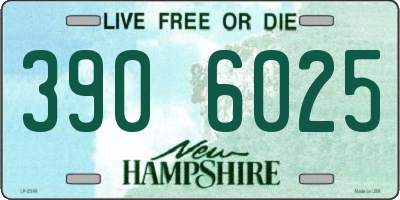 NH license plate 3906025