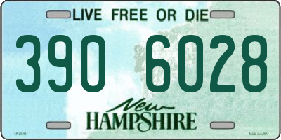 NH license plate 3906028