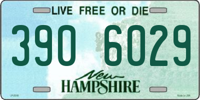 NH license plate 3906029