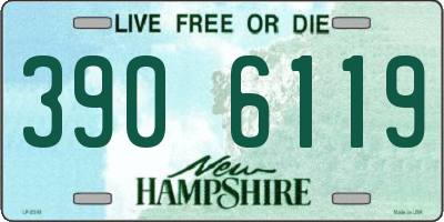 NH license plate 3906119