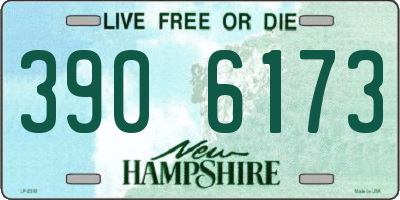 NH license plate 3906173