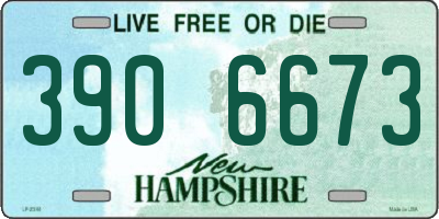 NH license plate 3906673