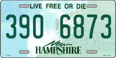 NH license plate 3906873