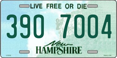 NH license plate 3907004