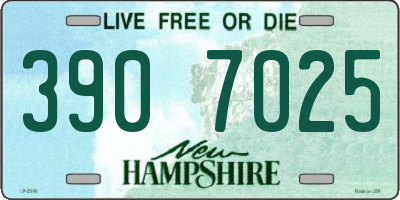 NH license plate 3907025