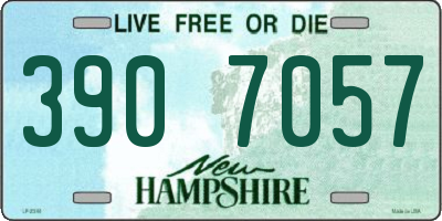 NH license plate 3907057