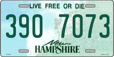 NH license plate 3907073