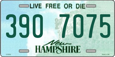 NH license plate 3907075