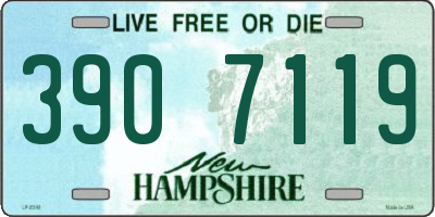 NH license plate 3907119