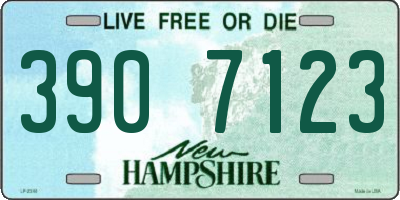 NH license plate 3907123