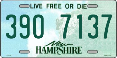 NH license plate 3907137
