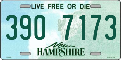 NH license plate 3907173