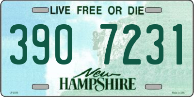 NH license plate 3907231