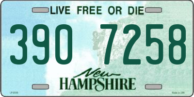 NH license plate 3907258