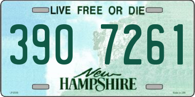 NH license plate 3907261